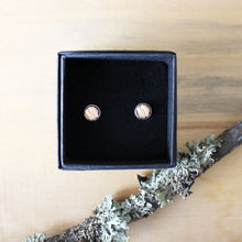 Kaima Designin Kelo-malliston pieni nappikorvakoru värissä puu, valmistettu kotimaisesta koivuvanerista.